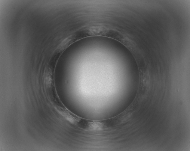 X0000081280226200701111341