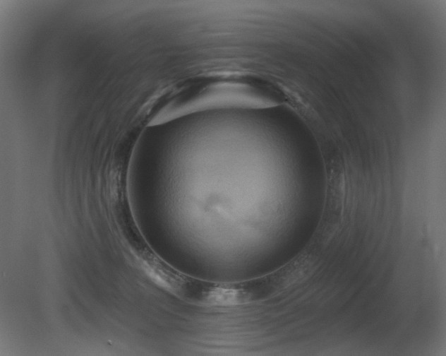 X0000081280227200701111341