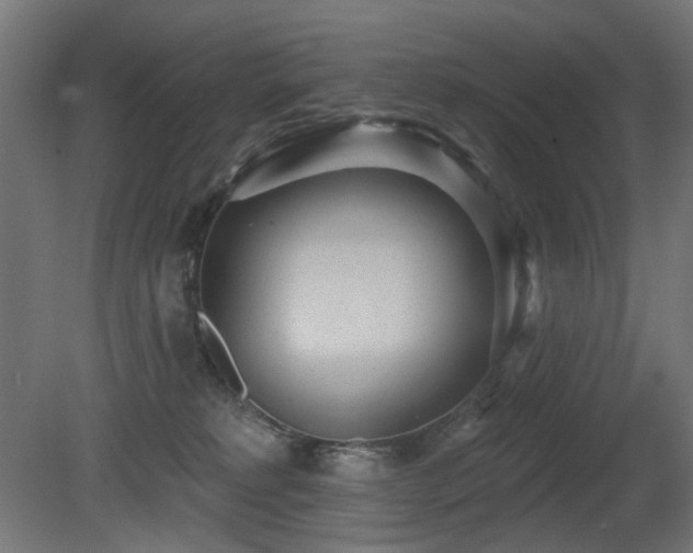 X0000081280229200701111341
