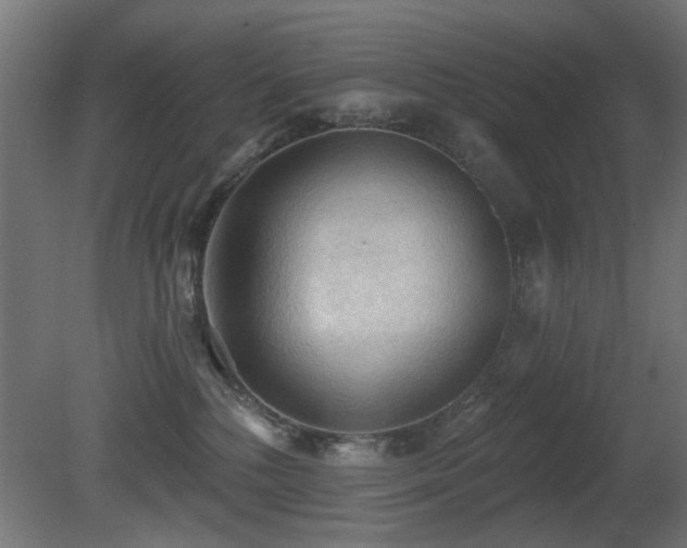X0000081280232200701111341
