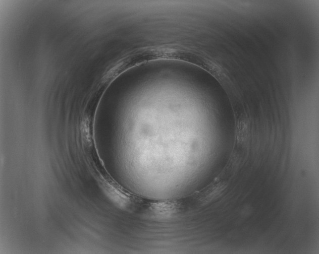 X0000081280238200701111340