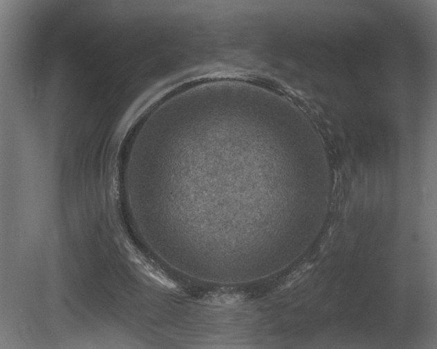 X0000081280247200701111340