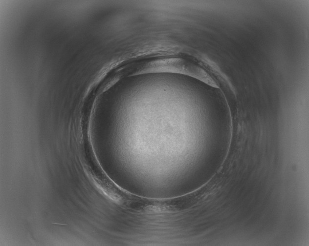 X0000081280250200701111340