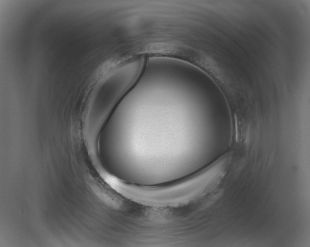 X0000081280252200701111340