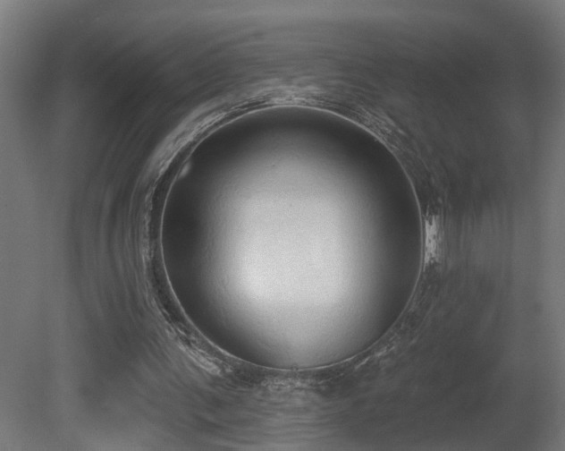 X0000081280291200701111339