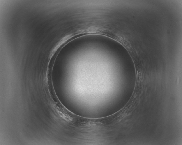 X0000081280292200701111339