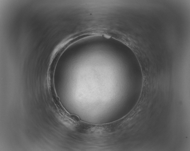 X0000081280294200701111339
