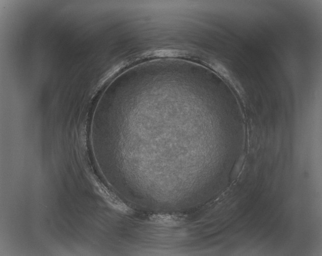 X0000081280297200701111339