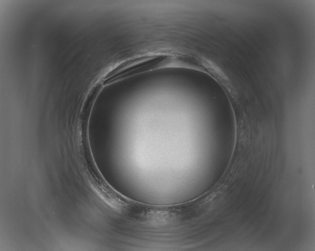 X0000081280298200701111339