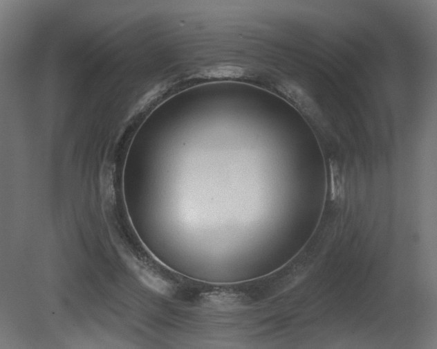 X0000081280300200701111339