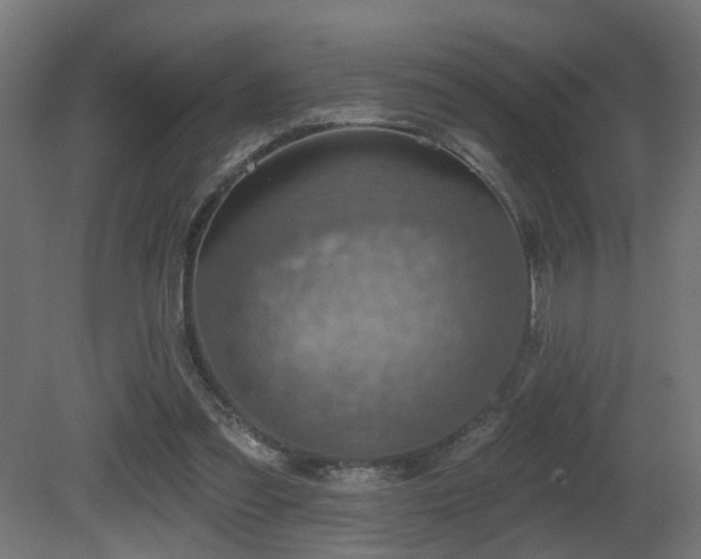 X0000081280301200701111339