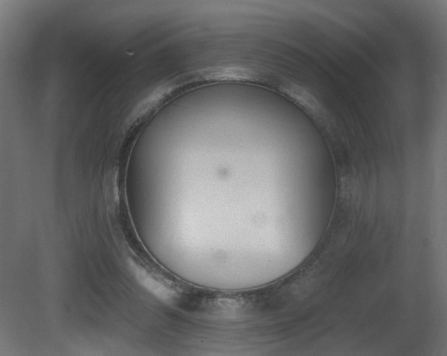 X0000081280302200701111339