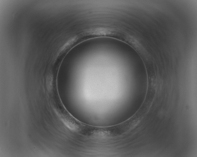 X0000081280304200701111339