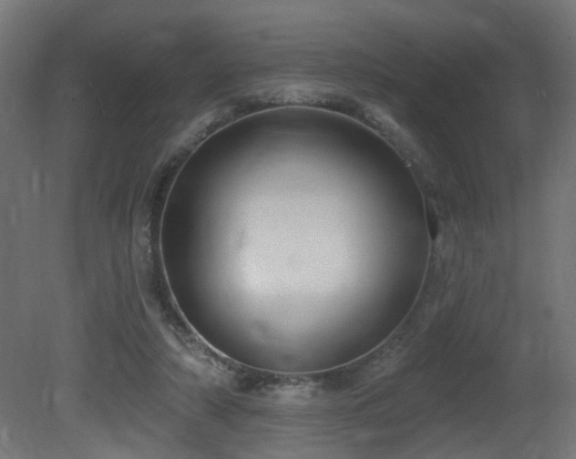 X0000081280306200701111339