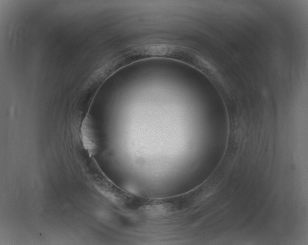 X0000081280307200701111339