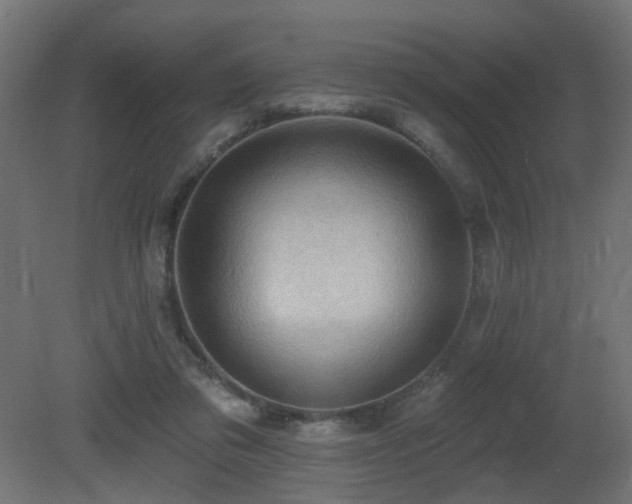 X0000081280309200701111339