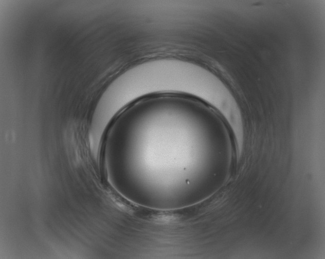 X0000081280313200701111339