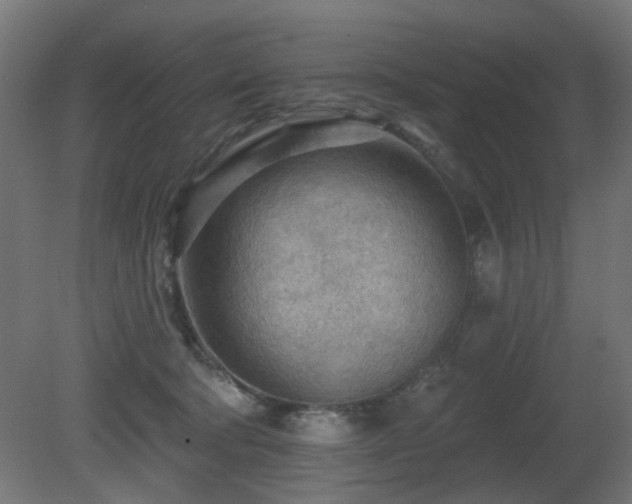 X0000081280322200701111339