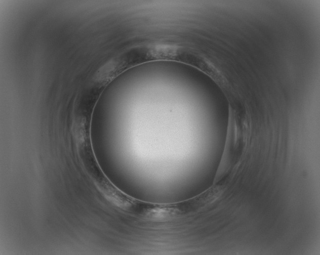 X0000081280323200701111339