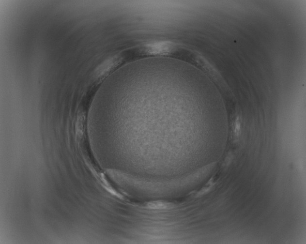 X0000081280325200701111339