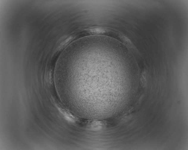 X0000081280330200701111339