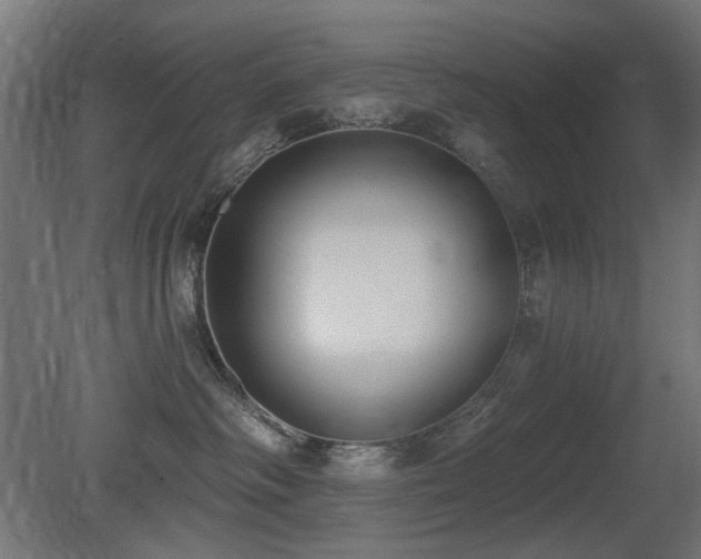 X0000081280334200701111339