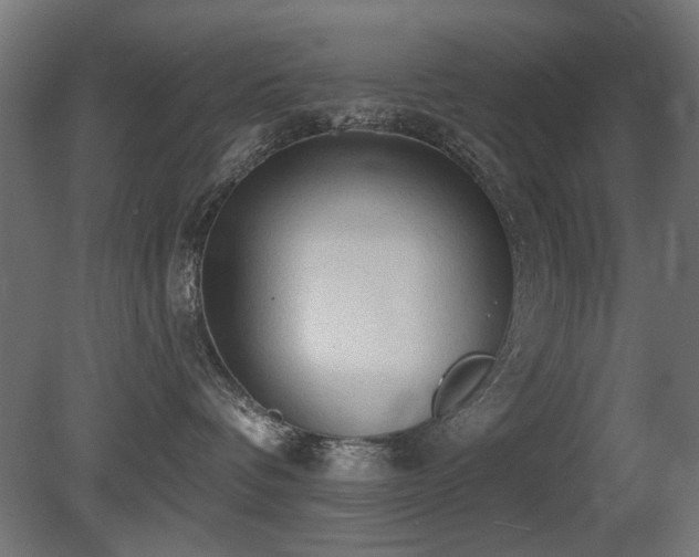 X0000081280336200701111339