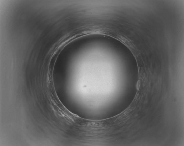 X0000081280338200701111338