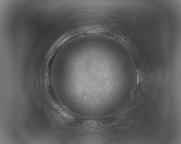 X0000081280339200701111338