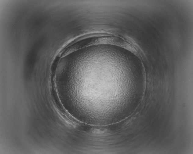 X0000081280346200701111338