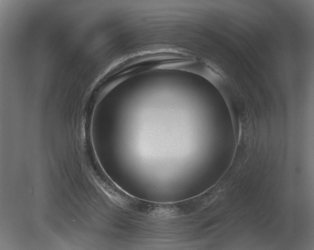 X0000081280350200701111338