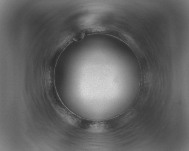 X0000081280362200701111338