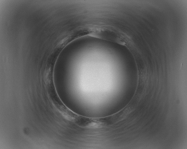 X0000081280364200701111338