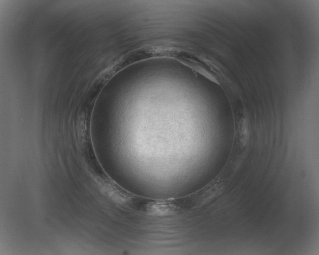 X0000081280372200701111339