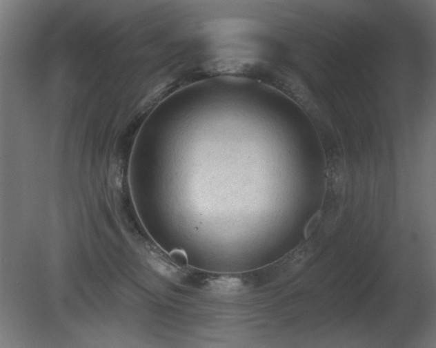 X0000081280374200701111339