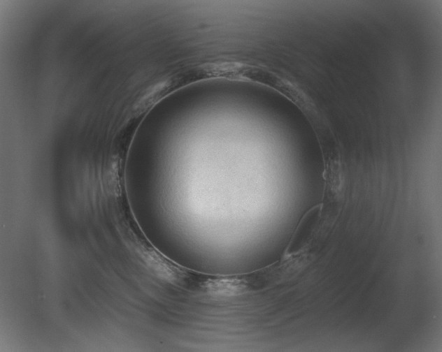 X0000081280378200701111339