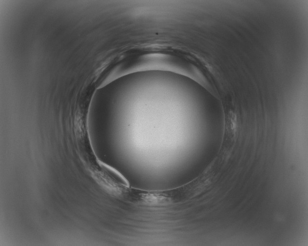 X0000081280380200701111339