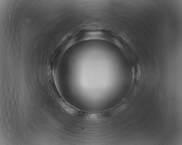 X0000081280382200701111339
