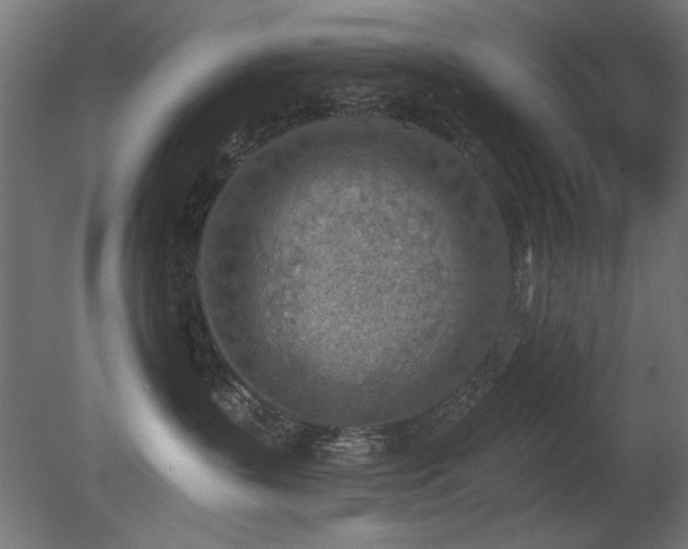 X0000081280383200701111339