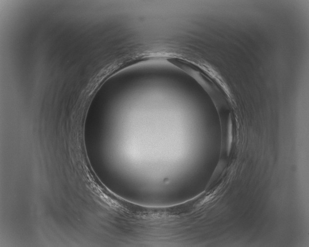 X0000081280385200701111338