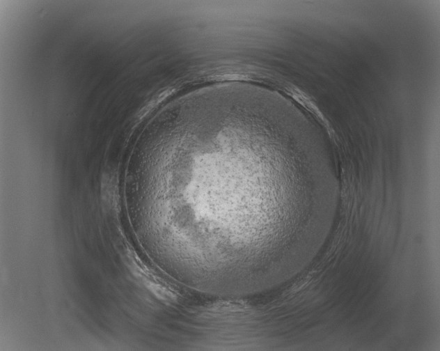X0000081280386200701111338