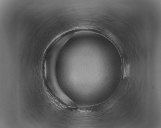 X0000081280387200701111338