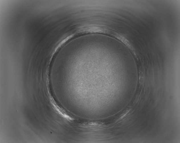 X0000081280390200701111338