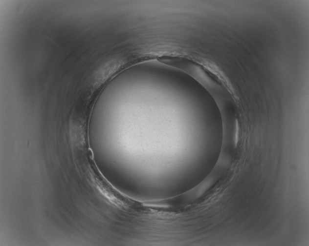 X0000081280393200701111338