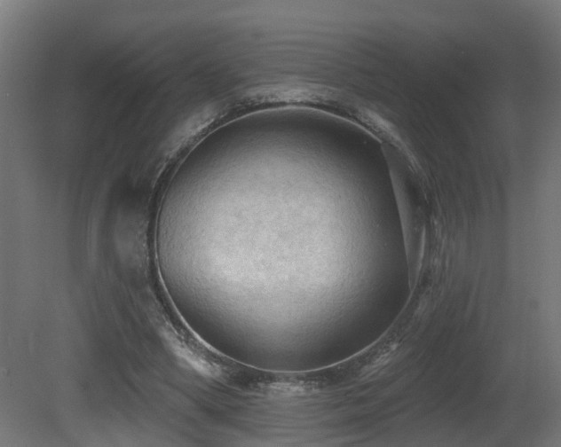 X0000081280394200701111338