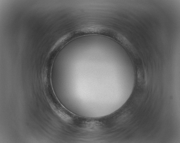 X0000081280396200701111338