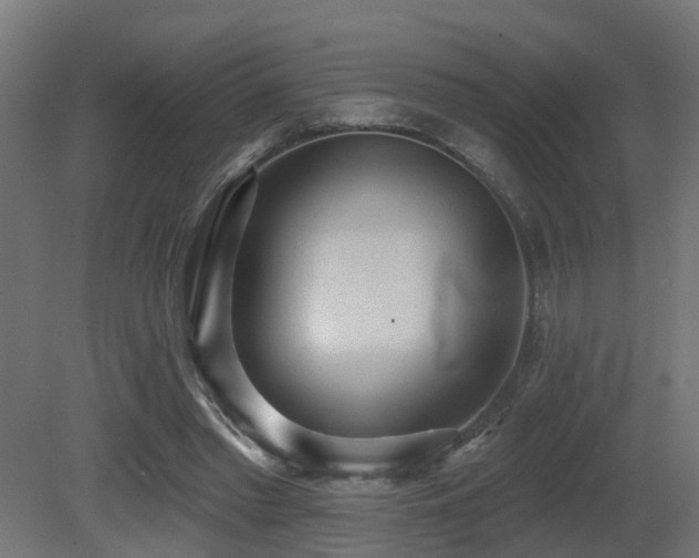 X0000081280397200701111338