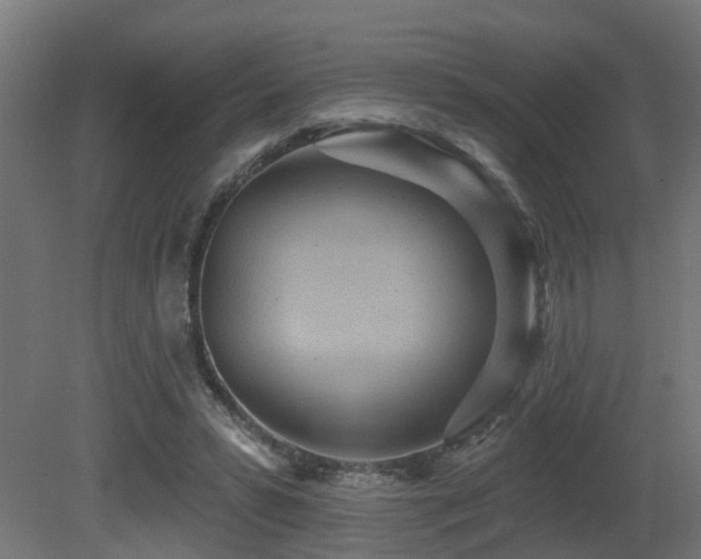 X0000081280399200701111338