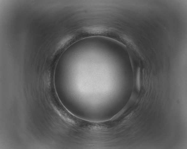 X0000081280400200701111338