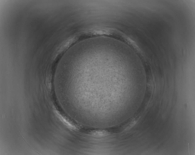 X0000081280402200701111338